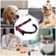 thumbnail image 3 of UPGRATOR Collar Decorativo Para Mascotas Con Lazo Rosa Desmontable Y Ajustable De Tela, 3 of 7