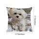 thumbnail image 3 of Juego de almohadas con estampado de animales bonitos para dormitorio, sala de estar, sofá, cojín de 45 x 45 cm para decoración de sofá y sala de estar, funda de almohada aterciopelada., 3 of 6