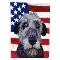 Carolines Treasures CK6573CHF Irish Wolfhound American Canvas House Size Outdoor-Flags, Multicolor