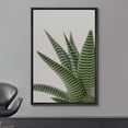 thumbnail image 2 of wall26 Framed Canvas Print Wall Art Southwest Rustic Desert Striped Snake Plant Nature Wilderness Photography Realism Floral Botanical Multicolor for Living Room, Bedroom, Office - 24"x36", 2 of 5