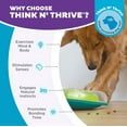 thumbnail image 6 of Outward Hound by Nina Ottosson Wobble Bowl Slow Feeder Dog Puzzle, Level 1 Beginner, Multicolored, 6 of 8