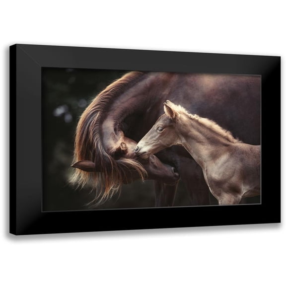 Willers, Heike 14x11 Black Modern Framed Museum Art Print Titled - The Bond