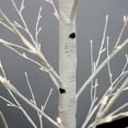 thumbnail image 3 of Holiday Birch Tree, 3 of 5