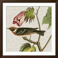 thumbnail image 2 of Art.com Avian Crop VI Art Print by John James Audubon, Brown Frame Wall Art, 38" x 38", 2 of 5