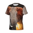 thumbnail image 3 of Rocae Elephant Sunset in Kenya for Men's Moisture-Wicking Crew Tee - T-Shirt for Sports, Outdoor Activities, and Casual Wear3X-Large, 3 of 9