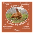thumbnail image 5 of Huevo rojo El Gallo de libre pastoreo 18 pzas, 5 of 5
