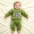 thumbnail image 2 of Ruyang Toddler 2 Piece Outfit Flannel Cute Animal Embroidery Long Sleeve Pullover Solid Plush Pants Sets Baby Autumn Winter Thermal Clothes, 2 of 5