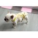thumbnail image 3 of Pantalones sanitarios para mascotas, pantalones cortos de menstruación con banda ajustable, pañales lavables para perros, pantalones fisiológicos para mascotas para interiores, 3 of 4
