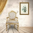 thumbnail image 3 of Audubon, John James 17x24 Gold Ornate Wood Framed with Double Matting Museum Art Print Titled - Seaside Finch, 3 of 4