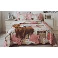thumbnail image 1 of Numaison 3pc Printed Reversible Quilt Coverlet Set, 1 of 1