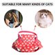 thumbnail image 2 of Pet Carrier Cozy Dog Carrier Mochila Transpirable Pet Carrier Tote para perros pequeños Hugtrwg Para estrenar, 2 of 8