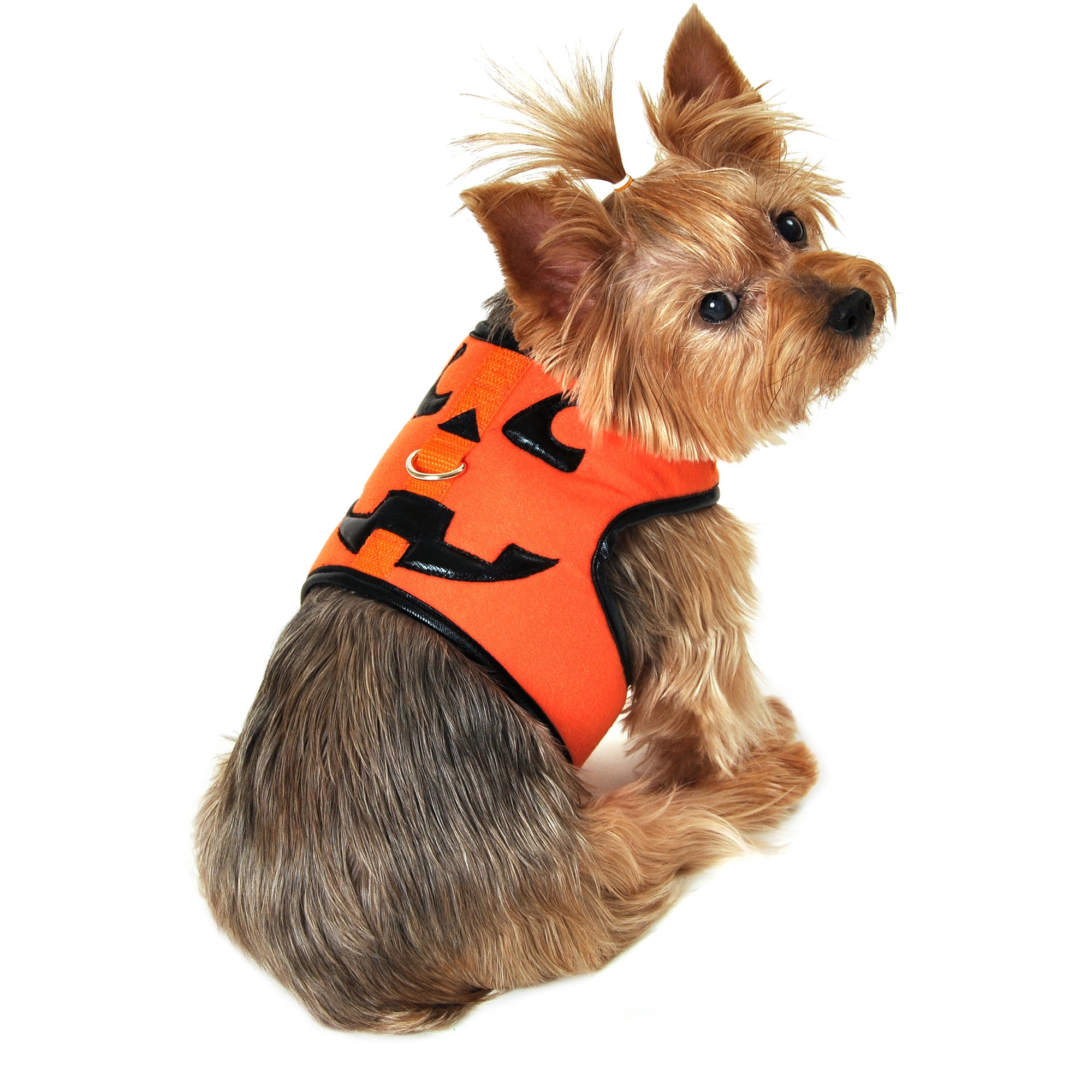 Holiday Pet Apparel SimplyDog Pumpkin Dog Body Harness, Orange