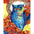 thumbnail image 1 of Diamond Painting (DE6638) 5D Kit Rhinestone DIY Lively Owl Square (WY166) 45x60cm Hugtrwg Para estrenar, 1 of 1