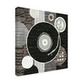 thumbnail image 2 of Michael Mullan 'Rock N Roll Album Neutral' Canvas Art, 2 of 3
