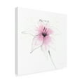 thumbnail image 2 of Avery Tillmon 'Pink Graphite Flower V' Canvas Art, 2 of 3