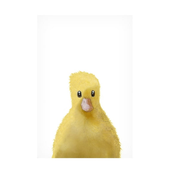 Trademark Fine Art Pictufy Studio Duck Canvas Wall Art