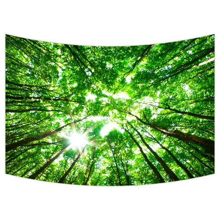 YKCG Spring Green Trees Early Monring Sun Forest Wall Hanging Tapestry Wall Art 90x60 inches