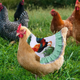 thumbnail image 5 of 3 Pieces Chicken Saddle-Hen Apron, Chicken Jacket Hen Apron Feather Fixer Poultry Wing Back Cover, 5 of 6