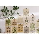 thumbnail image 5 of ER Conjunto de postales: 30 plantas en estilo vintage, natural y efímero Pos brillar Electrónica, 5 of 5