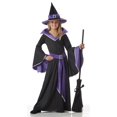 thumbnail image 1 of Child Glamour Witch Costume, 1 of 1
