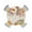 Beige, variant on Round Fitted Tablecloths with Elastic Edge Thanksgiving Pumpkin Fall Harvest Waterproof Wipeable Table Cover for Kitchen Dining Party Decor Autumn Foliage Wild Flower Table Clothes,45" - 54"