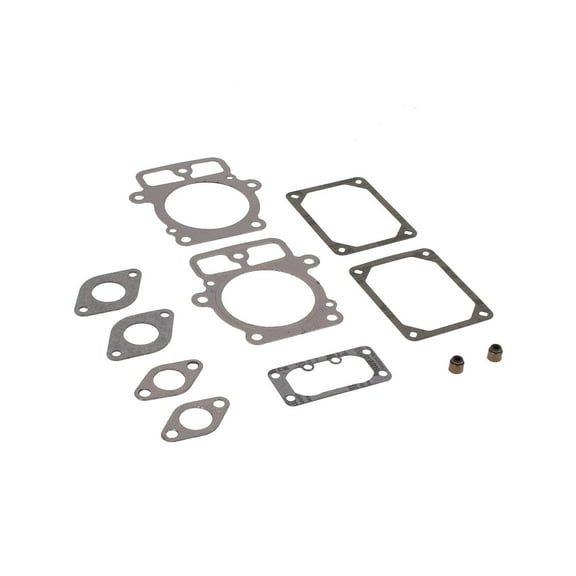 Briggs and Stratton 694013 VALVE GASKET SET