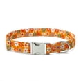 thumbnail image 1 of Collares para perros de niña con estampado de margaritas y bandera estadounidense, 1 of 5