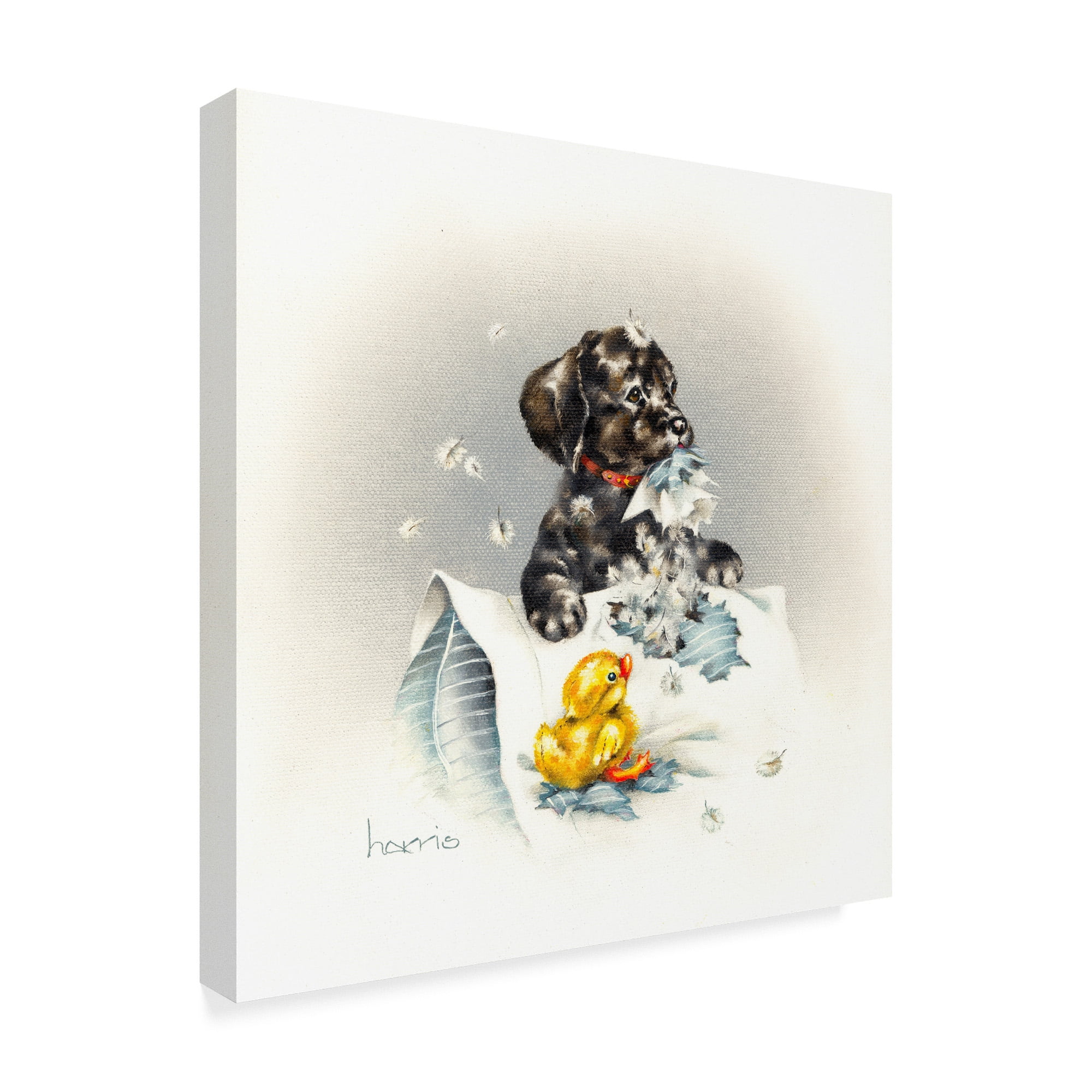 Trademark Fine Art 'Just Ducky Pillow' Canvas Art by Peggy Harris