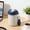 Large, off-white and blue, variant on Insulated 304 Stainless Steel Vacuum Flask 15cm Large Off White Blue Lid Leak Proof for Travel and Gym