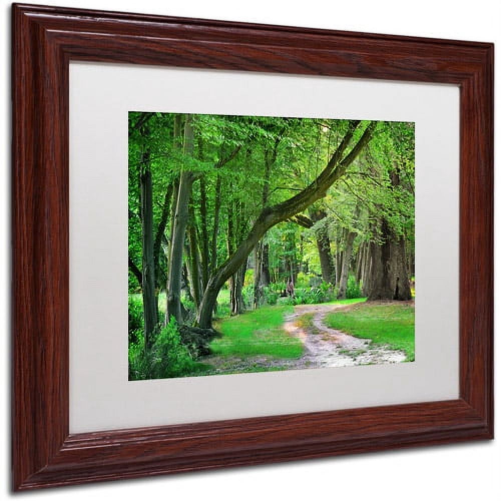 Trademark Fine Art "Intimate Landscape" Canvas Art by Philippe Sainte-Laudy, White Matte, Wood Frame