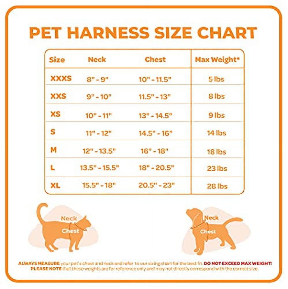 Voyager Step-in Air Dog Harness - All Weather Mesh Step in Vest Harness for Small and Medium Dogs and Cats by Best Pet Supplies - Harness (Baby Blue), L (Chest: 18-20.5")