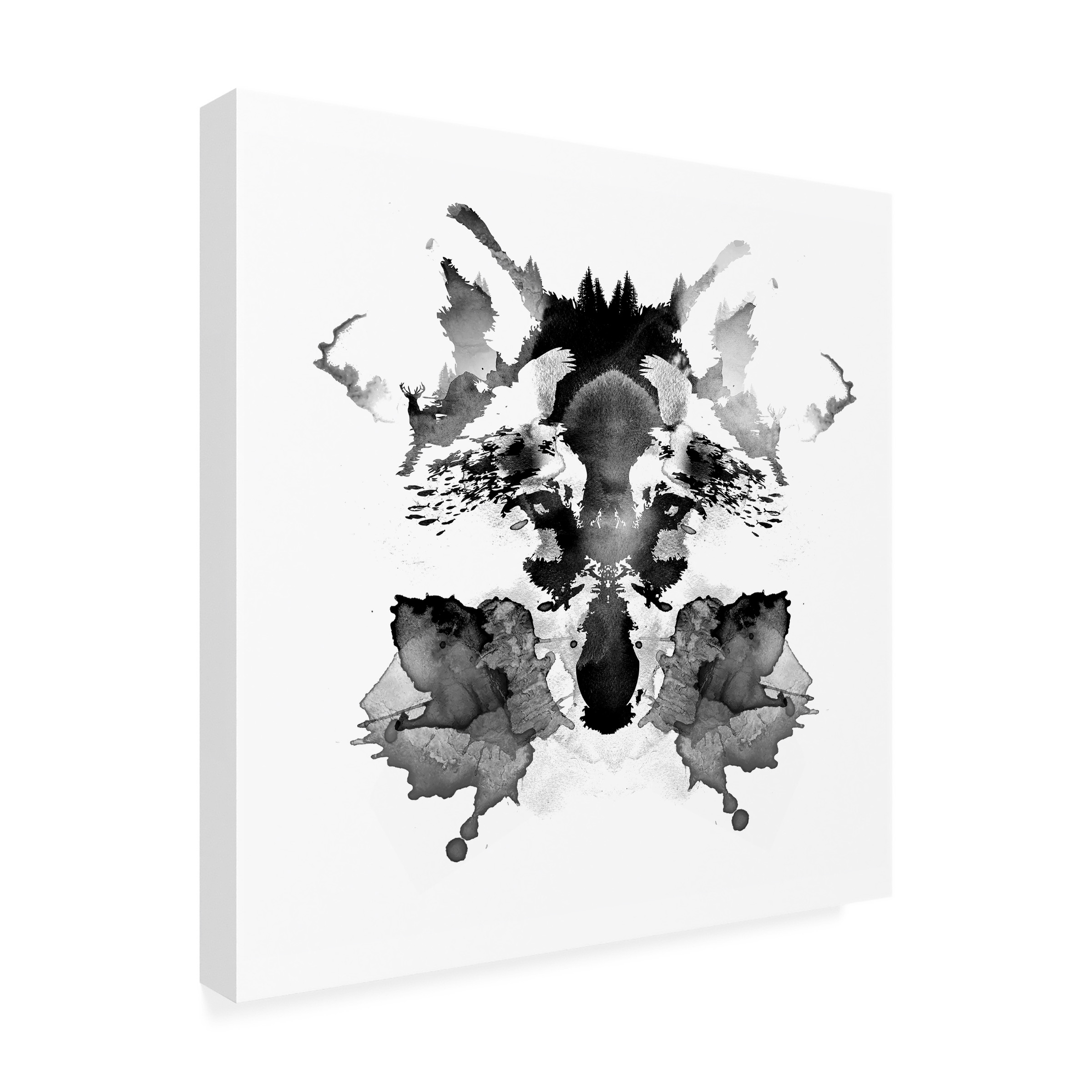 Trademark Fine Art Robert Farkas Rorschach Canvas Wall Art - 14x14