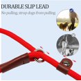thumbnail image 3 of YIXIGGC Slip Lead Control Leash for Dogs No Pull, 13+ Colors Classic Dog Leash 6FT Pet Slip Leash, 1/4\u201d Rope Leash for Small Medium Animals DYF329-2213, 3 of 7