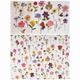 thumbnail image 3 of Pressed Flower Theme Stickers Set (320 Pieces) Dried Flowers Resin Decals Floral Botanical Journaling, 3 of 9