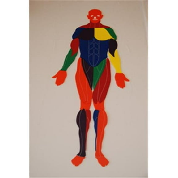 Everrich EVB-0140 36.25 x 15.35 x 4 in. Playing Body Puzzles