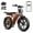 R004-15AH-Orange(Walmart exclusive), variant on TST Electric Bike for Adults, 750W Peak 1500W Motor, 20"x4" Fat Tire, E Mountain Bike, 48V/15AH UL2849