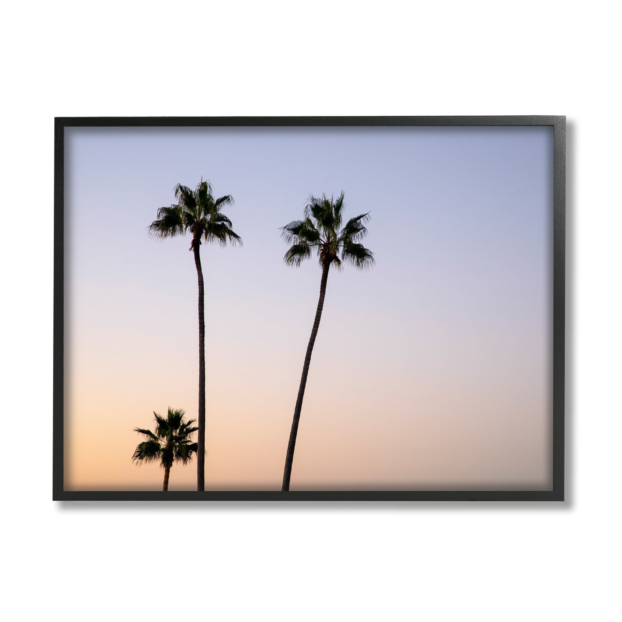 Stupell Industries Tropical Tall Palm Trees Sunrise Sunset Photography , 30 x 24, Design by Kathy Mansfield
