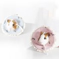 thumbnail image 1 of unbranded 1Ud Collar Para Mascotas Azul Material De Calidad Collar Y Lavable Para, 1 of 8