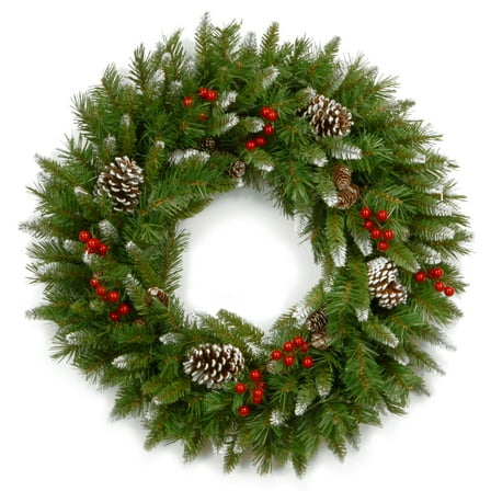 National Tree Company Frosted Berry Wreath, Green, Berries, Pinecones, Unlit, 24 Inch, Indoor or Outdoor Use.