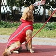 thumbnail image 2 of JHIJHOO Dog Coat Dog Jacket For Small Medium Large Dogs, Dog Winter Coat Dog Clothes Outdoor Sports Waterproof Dog Outfits Vest With Harness Hole Reflective Stripes, 2 of 6