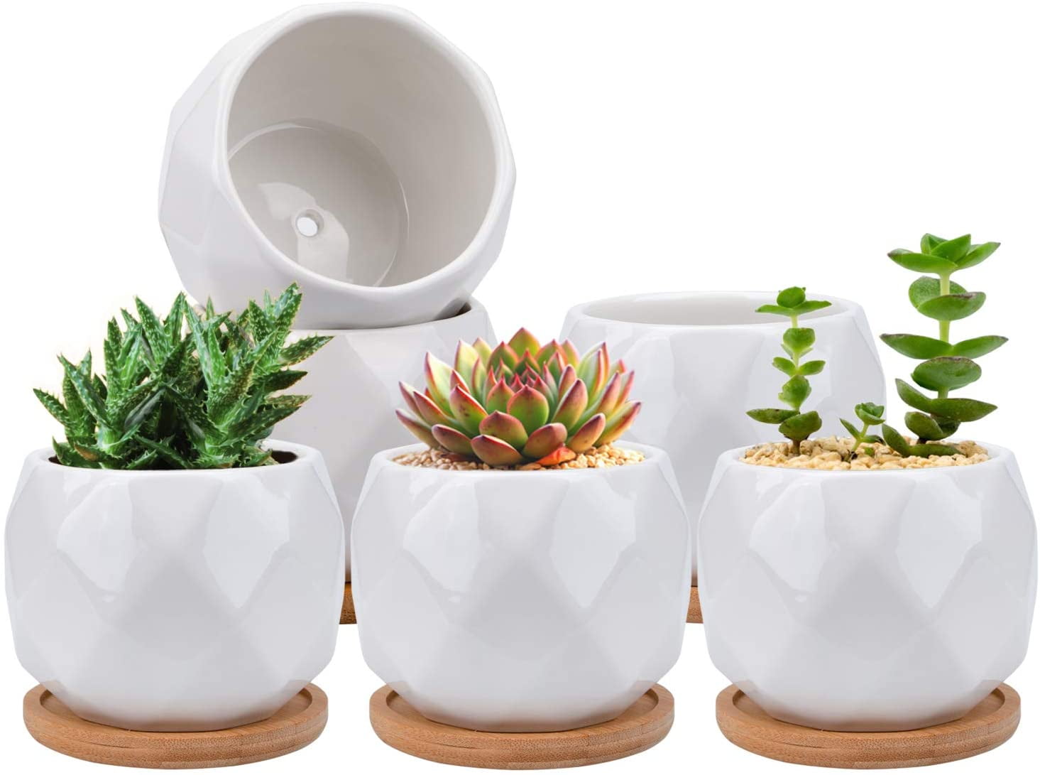 Windowsill and Office Decor（Plants Not Included） White Mini Decorative Succulent Pots with Bamboo Tray 4 Pack Succulent Pots Ceramic Flower Planter Pots with Drainage Holes Great for Home 
