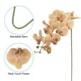 thumbnail image 3 of Uxcell 41" 9 Heads Artificial Orchid Stems Fake Faux Phalaenopsis for Vase Home Wedding Decoration, Khaki 6 Pack, 3 of 5
