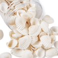 thumbnail image 1 of Colgantes Charm BB Beadthoven, 117 unidades, diseño natural de concha de almeja, 2,2 cm, 1 of 8