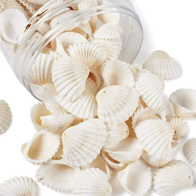 Colgantes Charm BB Beadthoven, 117 unidades, diseño natural de concha de almeja, 2,2 cm