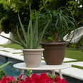 thumbnail image 3 of Bloem Fiskars Ariana 6.5" x 3.5" x 5.25" Round Chocolate Plastic Plant Pot with Self-Watering Grid, 3 of 8