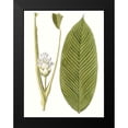 thumbnail image 2 of Vision Studio 19x24 Black Modern Framed Museum Art Print Titled - Leaves of the Tropics II, 2 of 5