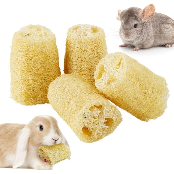Bunny Chew Toys Natural Loofah 6PCS Bunny Teeth Grinding Toy Rabbit Fiber-Rich Treats Pet Entertainment Accessories for Rabbits Chinchillas Guinea Pig