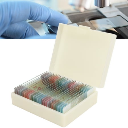 

Octpeak 25Pcs Prepared Glass Slides High Definition Animal Plant Specimens For Biology Education Animal Plant Specimens Glass Slides
