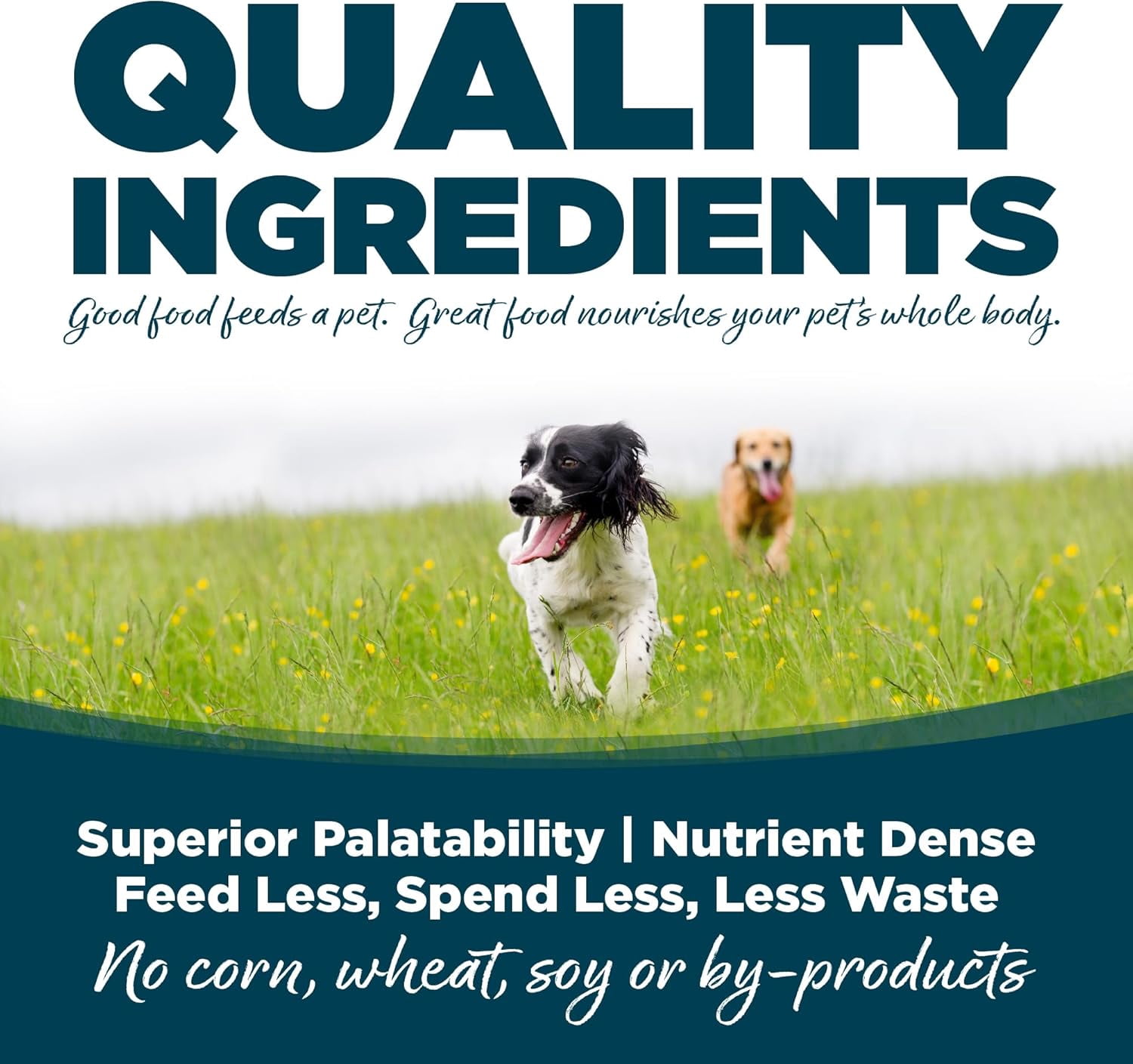 NutriSource with Wholesome Grains Adult Small Bites Chicken & Rice Recipe Dog Food 12 lb