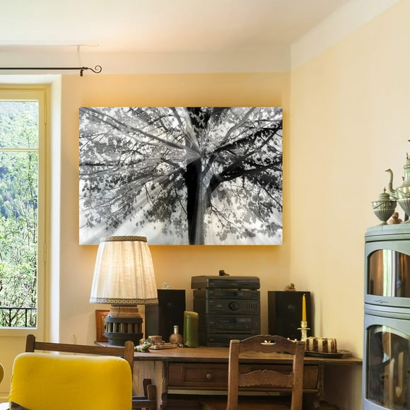 Renditions Gallery Tableaux de Paysage Impression Giclée sur Toile Prêt à Accrocher pour Décoration Murale, 32x48, Histoire Vue de la Lumière et de l'Ombre